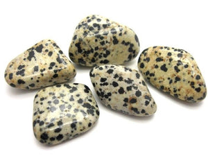 Dalmatian Jasper